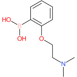 2-(2-(dimethylamino)ethoxy)phenylboronic acid