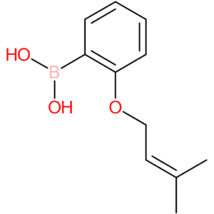 (2-[(3-methylbut-2-en-1-yl)oxy]phenyl)boronic acid
