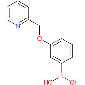 3-(pyridin-2-ylmethoxy)phenylboronic acid