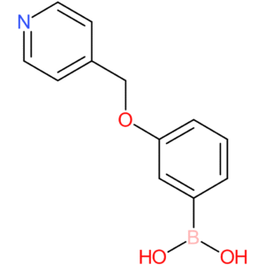 [3-(pyridin-4-ylmethoxy)phenyl]boronic acid