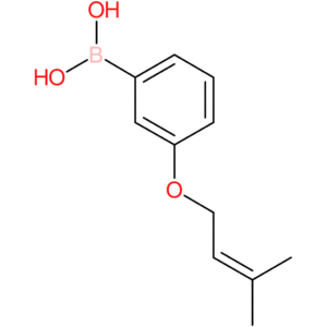(3-[(3-methylbut-2-en-1-yl)oxy]phenyl)boronic acid