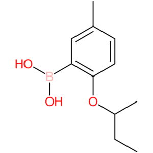 [2-(butan-2-yloxy)-5-methylphenyl]boronic acid