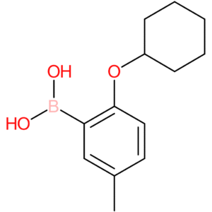 [2-(cyclohexyloxy)-5-methylphenyl]boronic acid