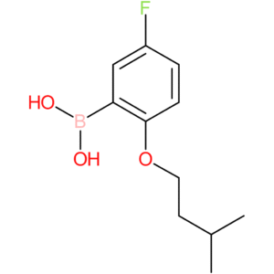 [5-fluoro-2-(3-methylbutoxy)phenyl]boronic acid