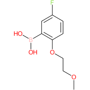 [5-fluoro-2-(2-methoxyethoxy)phenyl]boronic acid