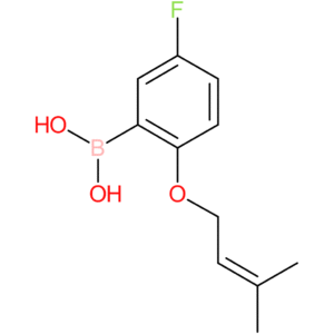 (5-fluoro-2-[(3-methylbut-2-en-1-yl)oxy]phenyl)boronic acid