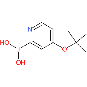 4-(tert-butoxy)pyridine-2-boronic acid