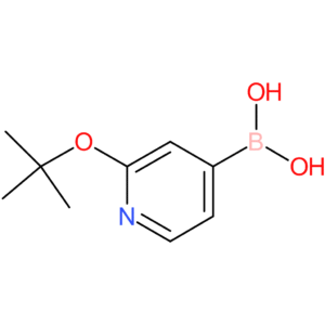 2-(tert-butoxy)pyridine-4-boronic acid