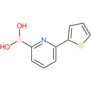 6-(2-thienyl)pyridine-2-boronic acid