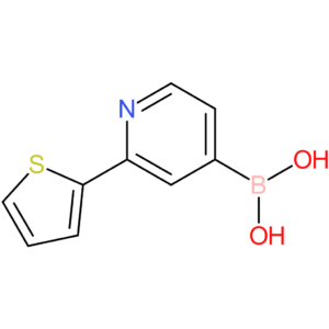 2-(thiophen-2-yl)pyridine-4-boronic acid