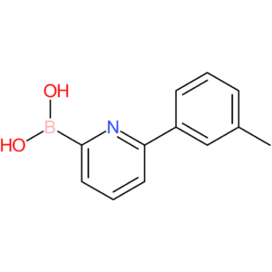 6-(3-methylphenyl)pyridine-2-boronic acid