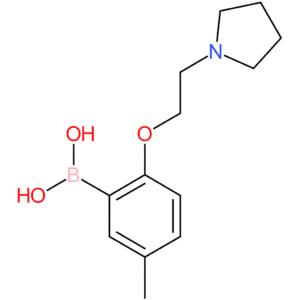(5-methyl-2-[2-(pyrrolidin-1-yl)ethoxy]phenyl)boronic acid