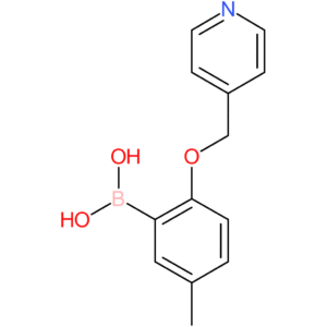 [5-methyl-2-(pyridin-4-ylmethoxy)phenyl]boronic acid