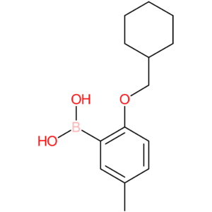 2-(cyclohexylmethoxy)-5-methylphenylboronic acid
