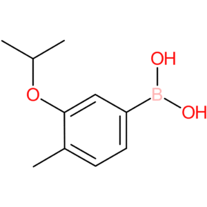 3-isoproproxy-4-methylphenylboronic acid