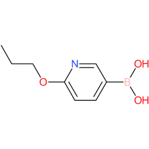 2-propoxypyridine-5-boronic acid