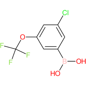 3-chloro-5-(trifluoromethoxy)phenylboronic acid
