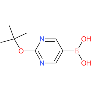 2-tert-butoxylpyrimidine-5-boronic acid