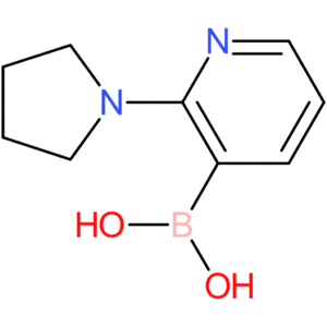 2-(pyrrolidin-1-yl)pyridine-3-boronic acid