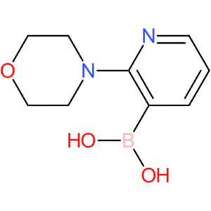 2-morpholinopyridine-3-boronic acid