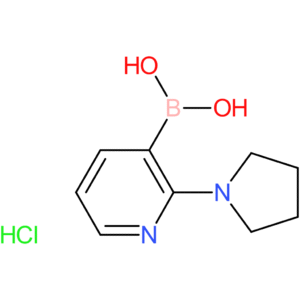 2-pyrrolidin-1-ylpyridine-3-boronic acid, hydrochloride
