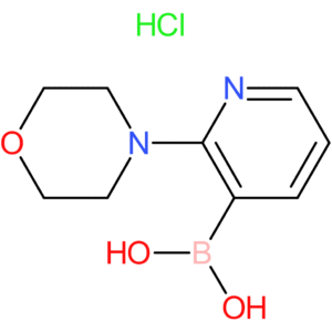 2-morpholinopyridine-3-boronic acid, hydrochloride