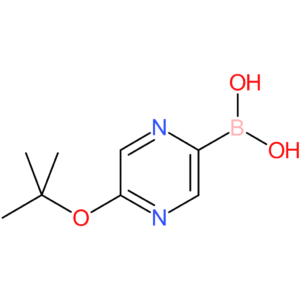 5-(tert-butoxy)pyrazine-2-boronic acid