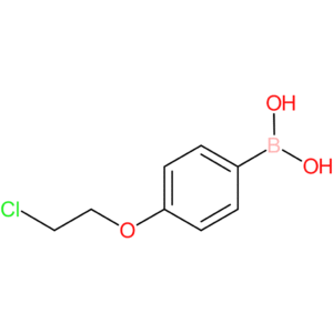 4-(2-chloroethoxy)phenylboronic acid