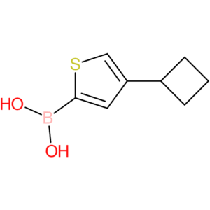 4-(cyclobutyl)thiophene-2-boronic acid