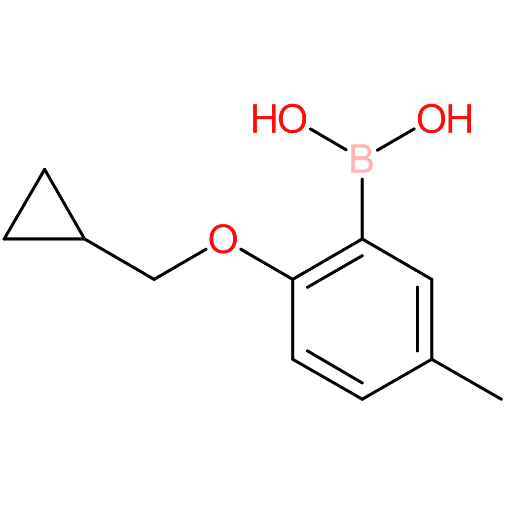 [2-(cyclopropylmethoxy)-5-methylphenyl]boronic acid