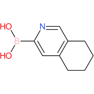 (5,6,7,8-tetrahydroisoquinolin-3-yl)boronic acid