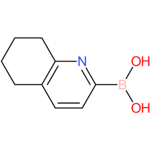 (5,6,7,8-tetrahydroquinolin-2-yl)boronic acid