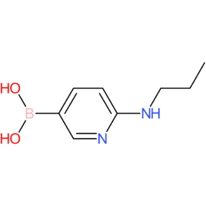6-(propylamino)pyridin-3-ylboronic acid