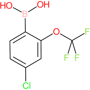 4-chloro-2-(trifluoromethoxy)phenylboronic acid