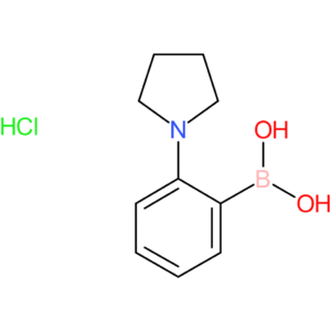 2-(pyrrolidin-1-yl)phenylboronic acid hydrochloride