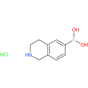 1,2,3,4-tetrahydroisoquinolin-6-yl-6-boronic acid hcl