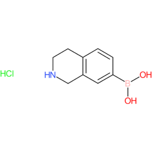 1,2,3,4-tetrahydroisoquinolin-7-yl-7-boronic acid hydrochloride
