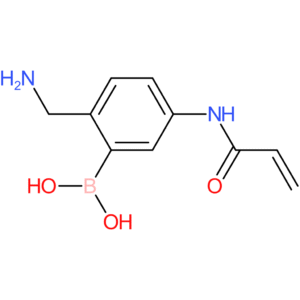 5-acrylamido-2-(aminomethyl)phenylboronic acid