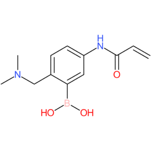5-acrylamido-2-((dimethylamino)methyl)phenylboronic acid