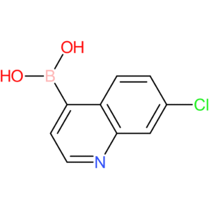 7-chloroquinoline-4-boronic acid