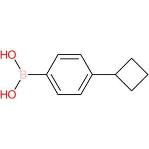 (4-cyclobutylphenyl)boronic acid