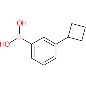 (3-cyclobutylphenyl)boronic acid