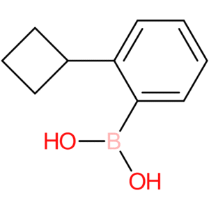 2-cyclobutylphenylboronic acid