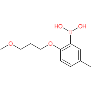 [2-(3-methoxypropoxy)-5-methylphenyl]boronic acid