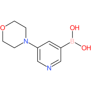 5-morpholinopyridin-3-ylboronic acid