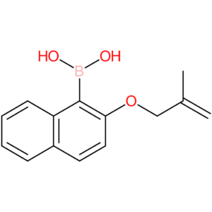 (2-[(2-methylprop-2-en-1-yl)oxy]naphthalen-1-yl)boronic acid
