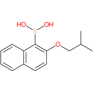 [2-(2-methylpropoxy)naphthalen-1-yl]boronic acid