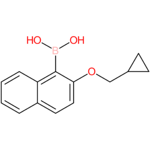 [2-(cyclopropylmethoxy)naphthalen-1-yl]boronic acid