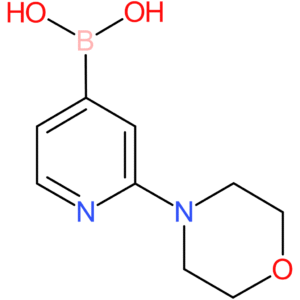 (2-morpholinopyridin-4-yl)boronic acid
