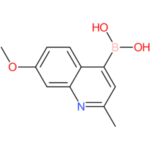 (7-methoxy-2-methyl-4-quinolinyl)-boronic acid